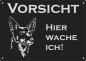 Preview: Aluminium Warnschild Australian Kelpie VORSICHT Hier wache ich!
